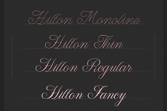 WT Hilton Script in Fonts - product preview 5