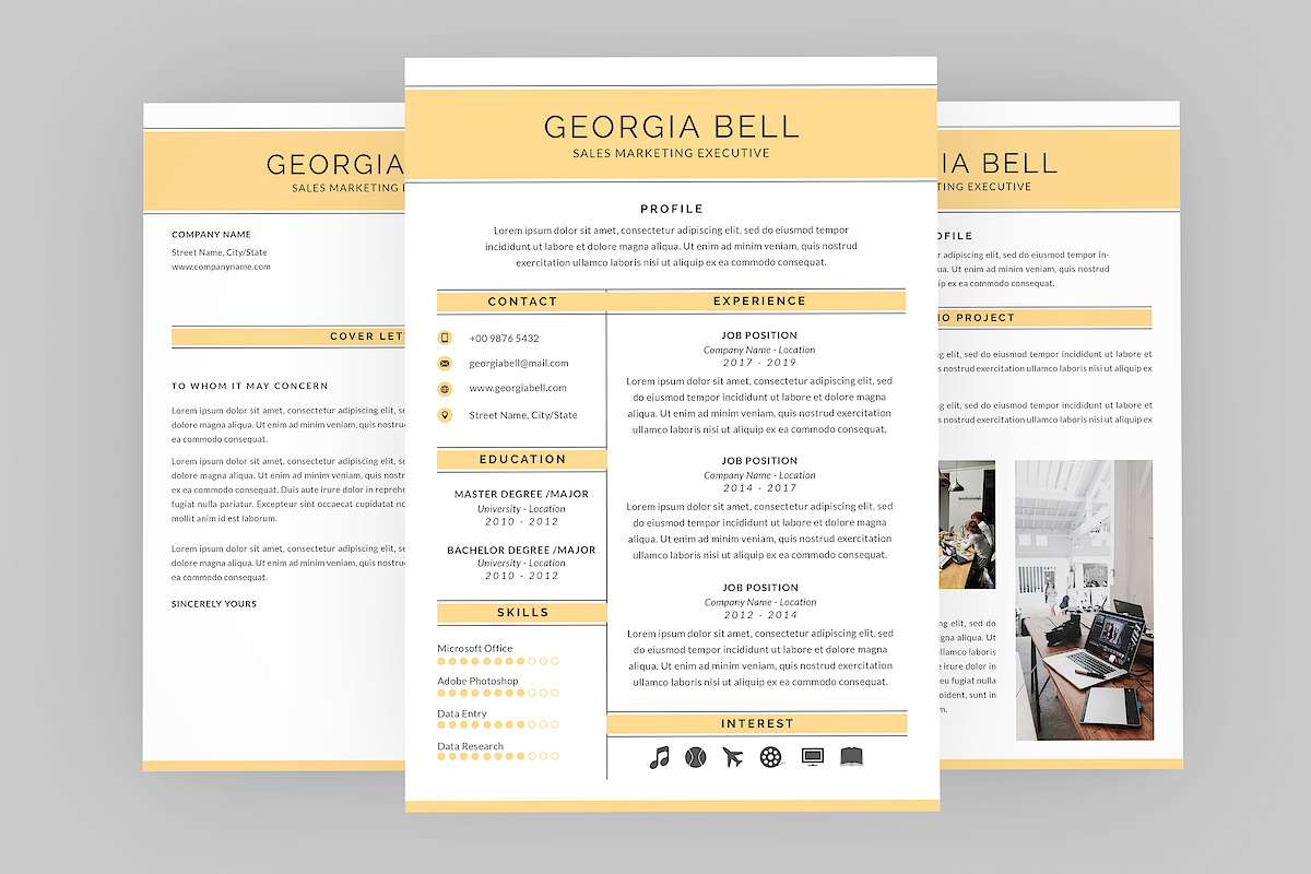 Sales Executive Resume Designer in Resume Templates - product preview 8