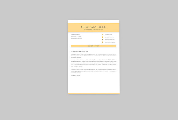 Sales Executive Resume Designer in Resume Templates - product preview 1
