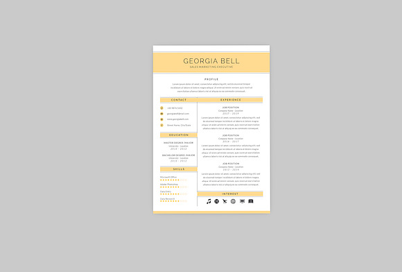 Sales Executive Resume Designer in Resume Templates - product preview 2