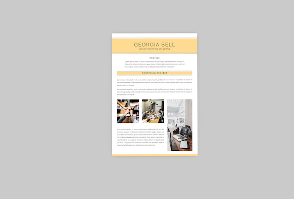 Sales Executive Resume Designer in Resume Templates - product preview 3