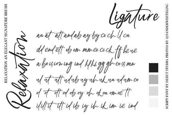 Relaxation // An Elegant Brush in Script Fonts - product preview 10