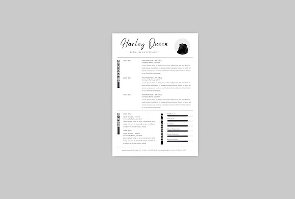 Media Specialist Resume Designer in Resume Templates - product preview 2