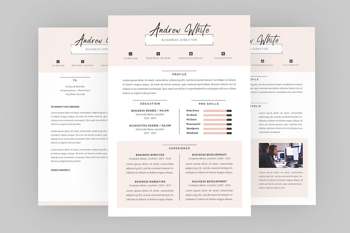 Business Director Resume Designer in Resume Templates - product preview 8