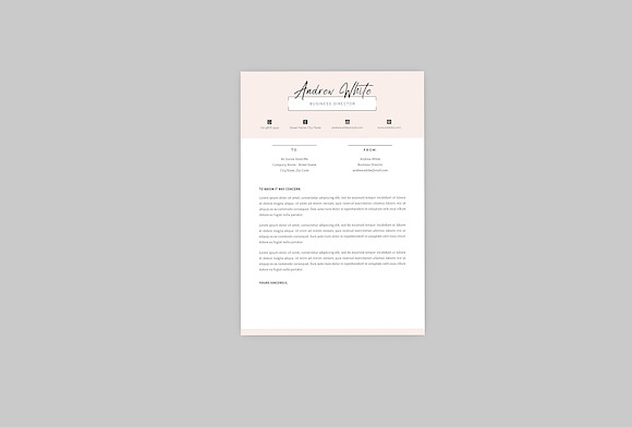 Business Director Resume Designer in Resume Templates - product preview 1