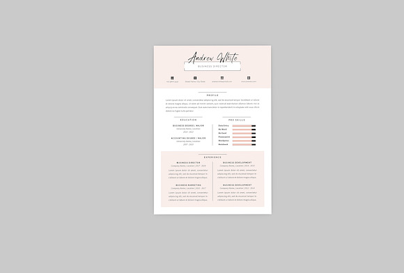 Business Director Resume Designer in Resume Templates - product preview 2