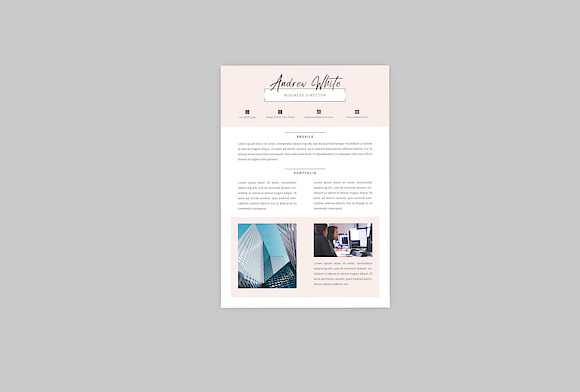 Business Director Resume Designer in Resume Templates - product preview 3
