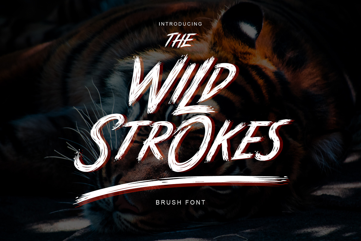 Wild Strokes in Display Fonts - product preview 8