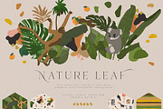 Nature Leaf Collection