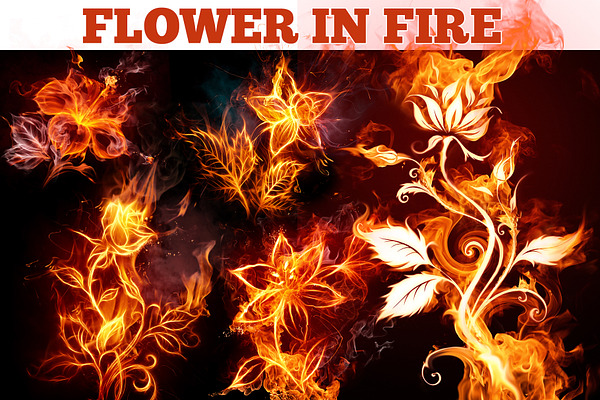 6 Flowers in fire overlays