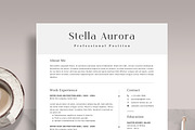 Professional Resume Template RE013