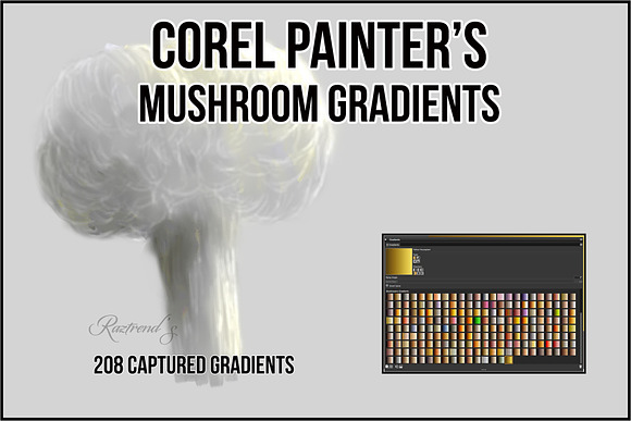 Corel Painter Mushroom Gradients in Add-Ons - product preview 7