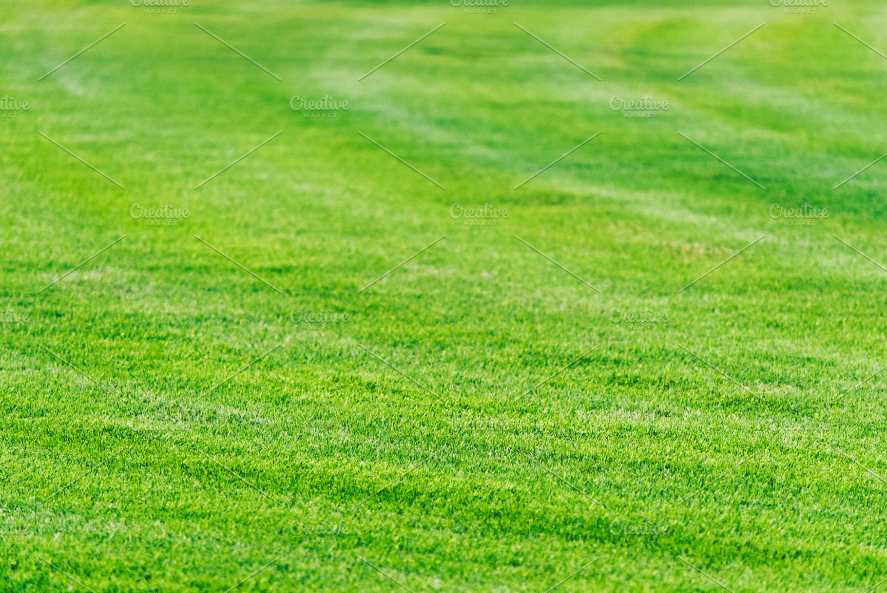Perfect mowed green grass lawn backg | High-Quality Stock Photos