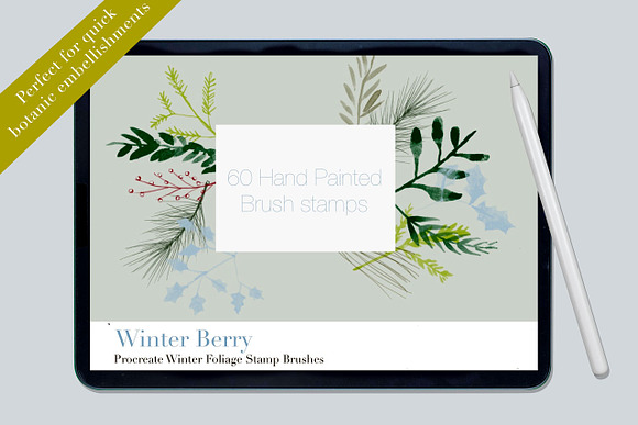 Procreate Winter Foliage Brushes in Add-Ons - product preview 15