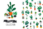 Houseplants. Collection