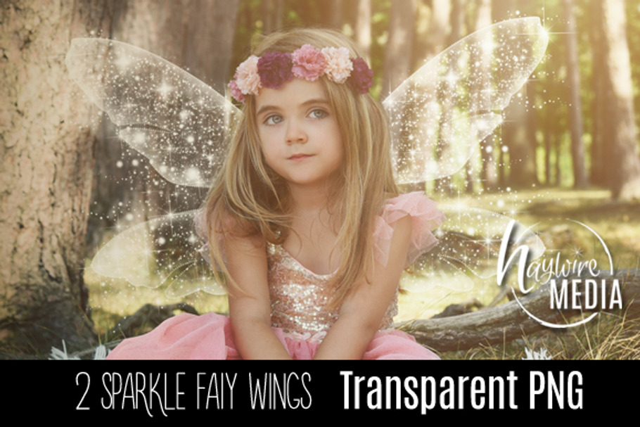 2 Transparent PNG Fairy Wings in Photoshop Layer Styles - product preview 8
