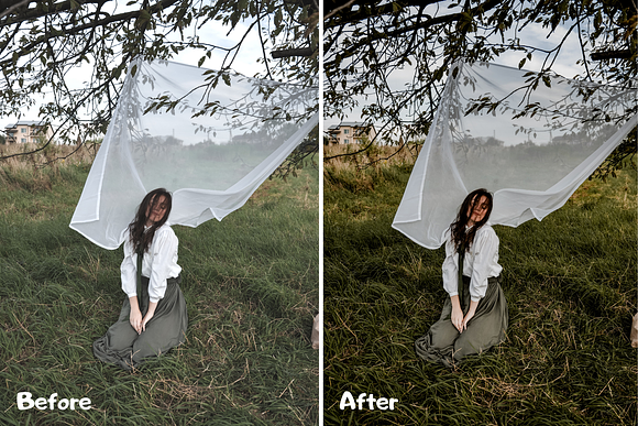 True Tone Lightroom Presets XMP/DNG in Add-Ons - product preview 2