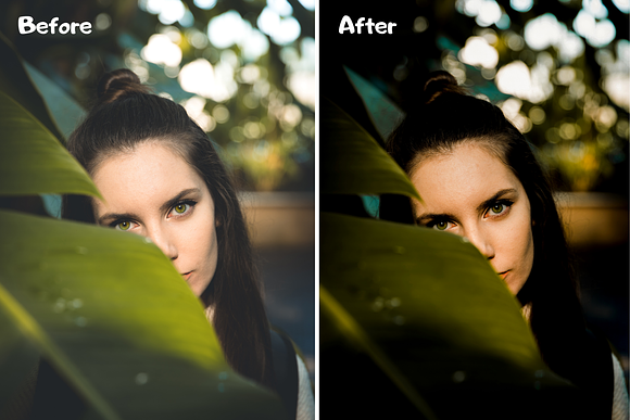 True Tone Lightroom Presets XMP/DNG in Add-Ons - product preview 6