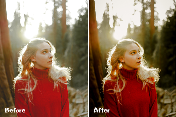 True Tone Lightroom Presets XMP/DNG in Add-Ons - product preview 9