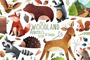 Watercolor Woodland Animal Clipart