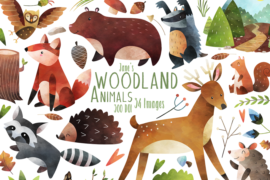 Watercolor Woodland Animal Clipart in Illustrations - product preview 8