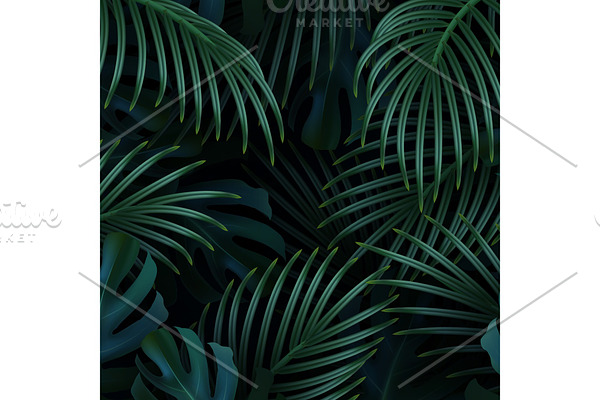 Palm background. Tropical leaf.