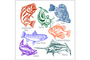 American Fish - vector set for