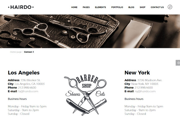 Hairdo - Barber Shop WordPress Theme in WordPress Business Themes - product preview 7