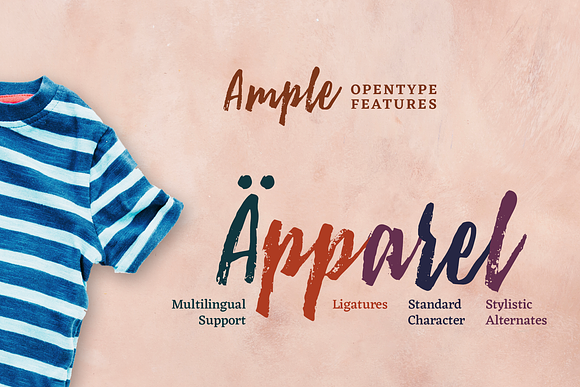 Ample Brush Script - 20% OFF in Script Fonts - product preview 7