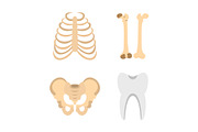 Human bones icon set, flat style