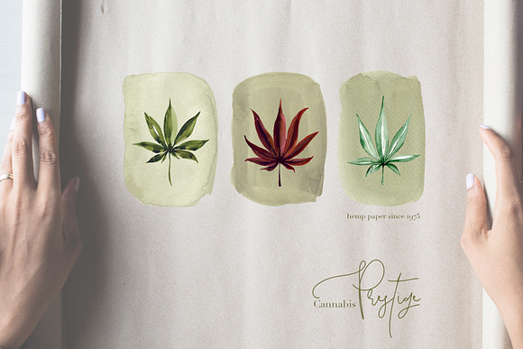I Love Cannabis - Watercolor Set in Objects - product preview 9