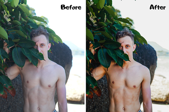 Green Lightroom Presets XMP/DNG in Add-Ons - product preview 3