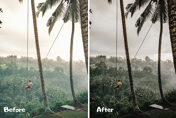 Green Lightroom Presets XMP/DNG in Add-Ons - product preview 7