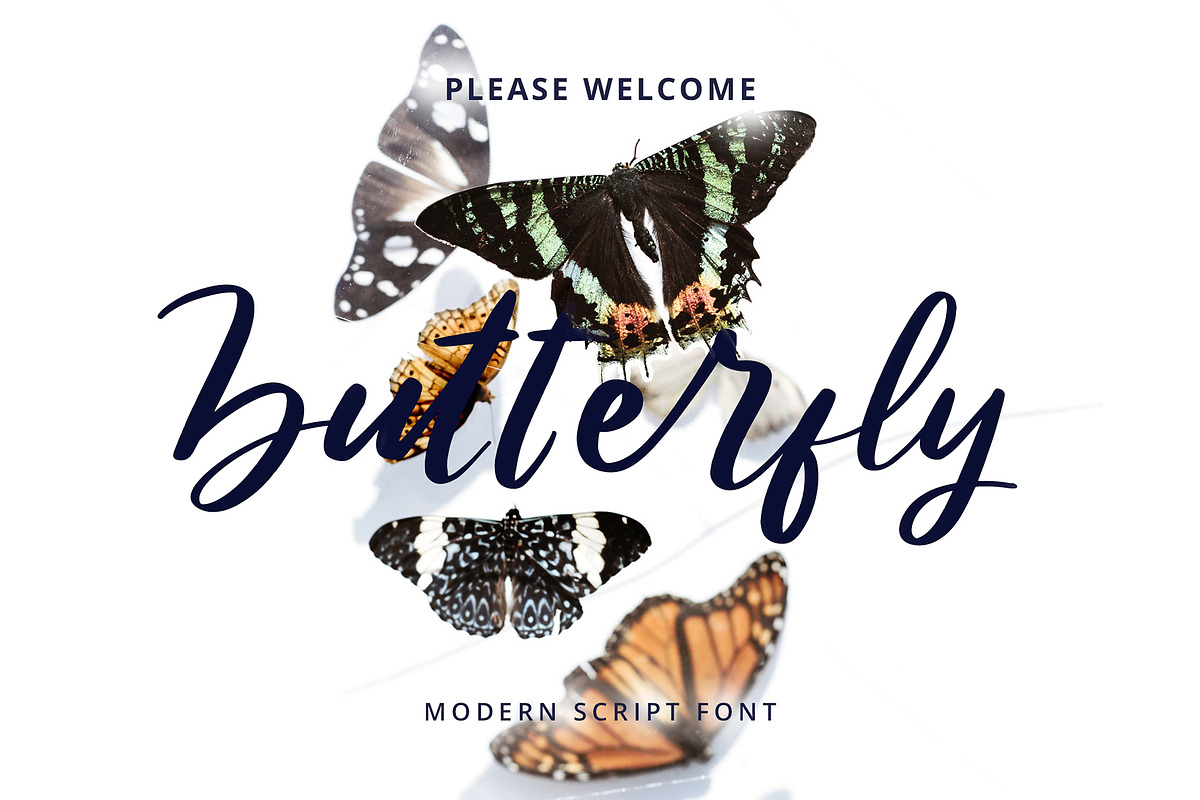 Butterfly Modern Script Font in Script Fonts - product preview 8