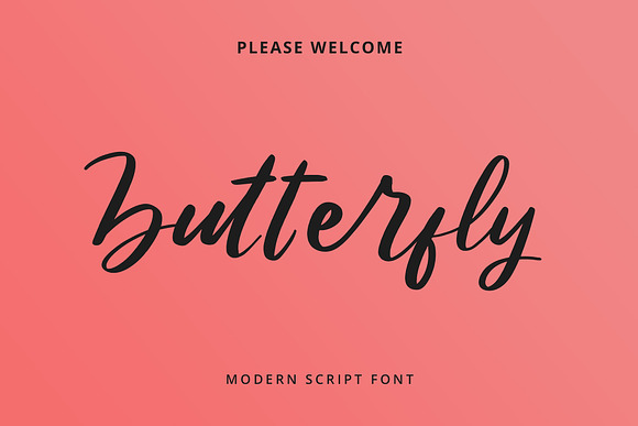 Butterfly Modern Script Font in Script Fonts - product preview 3