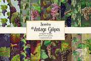 Vintage Grapes Digital Paper