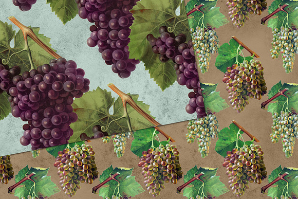 Vintage Grapes Digital Paper in Patterns - product preview 1