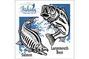 Largemouth Bass and Salmon fishing