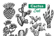 Different types of cactus icons set