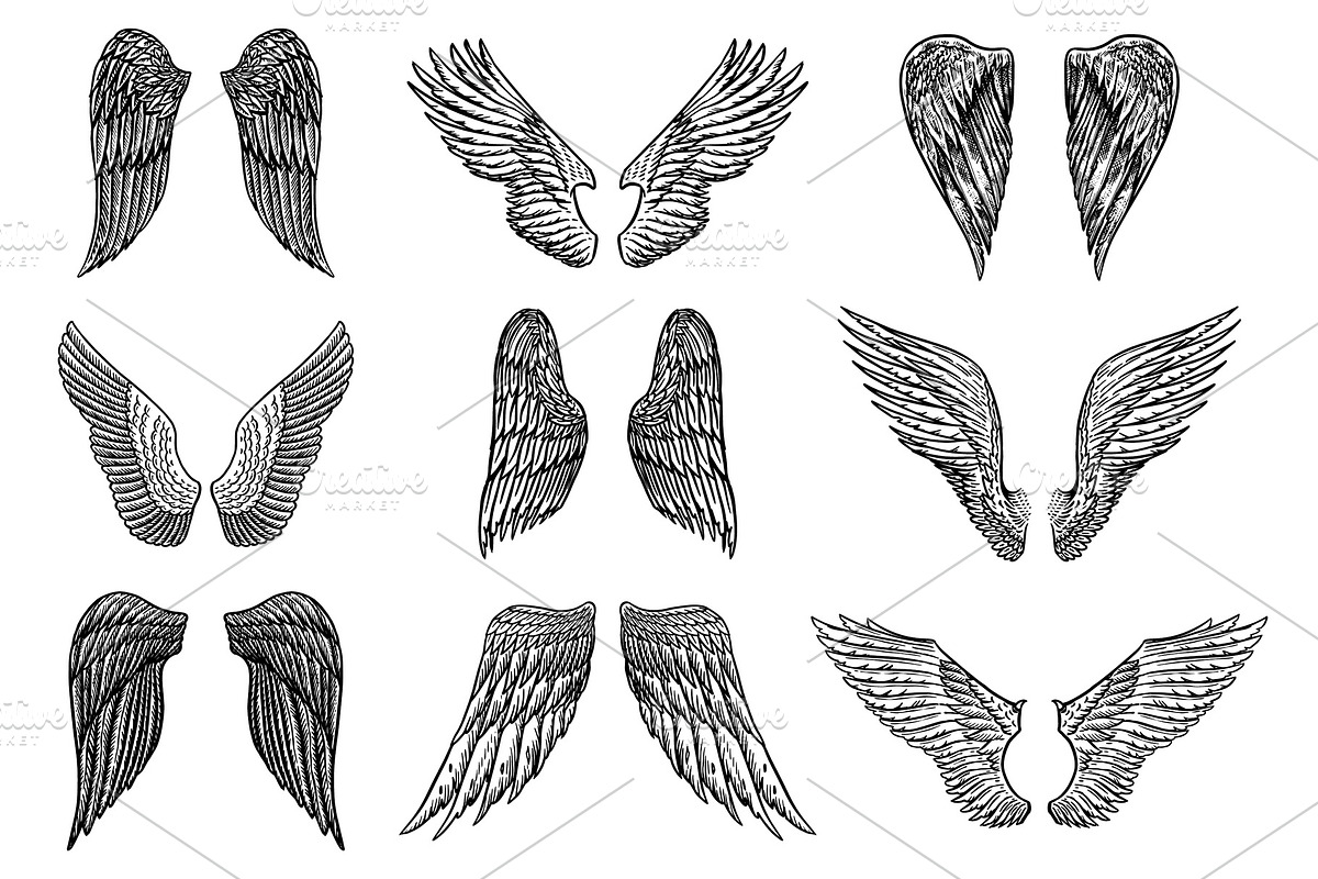 Set of Angel wings in vintage in Illustrations - product preview 8