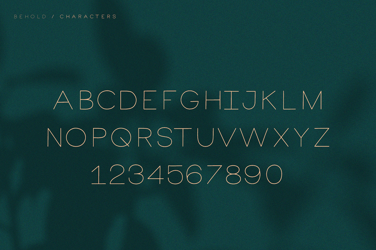 Behold | Elegant Sans Serif in Sans-Serif Fonts - product preview 8