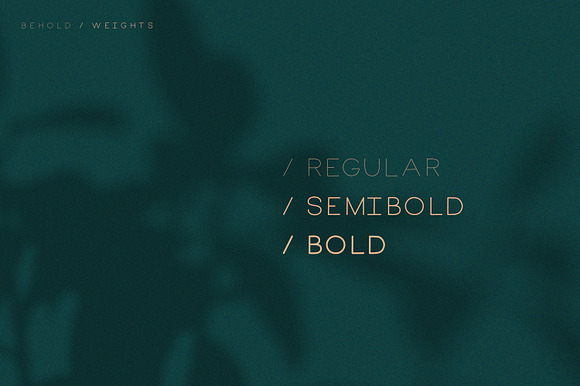 Behold | Elegant Sans Serif in Sans-Serif Fonts - product preview 1