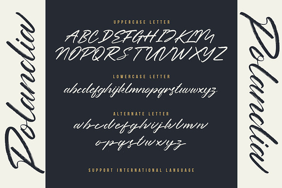 Polandia - The Handbrushed Font in Script Fonts - product preview 6
