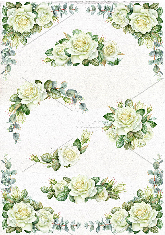 Watercolor white roses clipart. in Illustrations - product preview 1