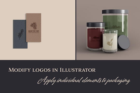 Apothecary Herb Illustrations in Illustrations - product preview 3