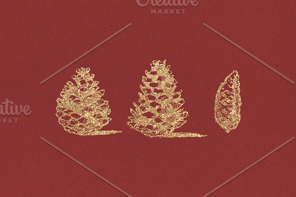 Pine cones + Paper Backgrounds in Illustrations - product preview 3