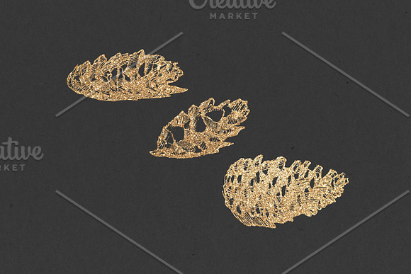 Pine cones + Paper Backgrounds in Illustrations - product preview 4