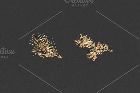 Pine cones + Paper Backgrounds in Illustrations - product preview 6