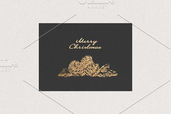 Pine cones + Paper Backgrounds in Illustrations - product preview 8