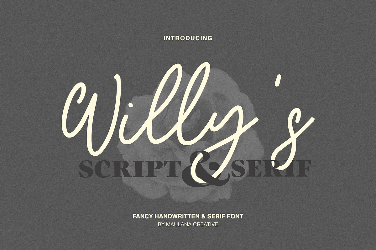 Willys Script Serif Font in Script Fonts - product preview 8